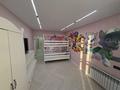 3-бөлмелі пәтер · 91 м² · 9/9 қабат, Васильева 67, бағасы: 120 млн ₸ в Петропавловске — фото 53