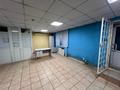 Свободное назначение · 100 м² за 22 млн ₸ в Шемонаихе — фото 4