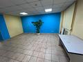 Свободное назначение · 100 м² за 22 млн ₸ в Шемонаихе — фото 9