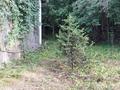 Дача · 2 комнаты · 50 м² · 8 сот., Коклайсай за 8 млн ₸ в Алматинской обл. — фото 36