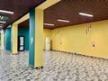 Магазины и бутики · 349 м² за 110 млн ₸ в Караганде, Казыбек би р-н — фото 3