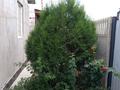 Отдельный дом · 4 комнаты · 135 м² · 6 сот., Жұмбақтас 62 — Школа гимназия 45 за 31 млн ₸ в Байкент — фото 7