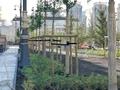 3-бөлмелі пәтер · 110 м² · 5/9 қабат, Нурмагамбетова 27 — Нурмагамбетова, бағасы: 73 млн ₸ в Астане, Сарайшык р-н — фото 31