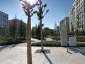 3-бөлмелі пәтер · 110 м² · 5/9 қабат, Нурмагамбетова 27 — Нурмагамбетова, бағасы: 73 млн ₸ в Астане, Сарайшык р-н — фото 32