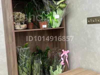 Дайын бизнес · 60 м² за 5 млн ₸ в 