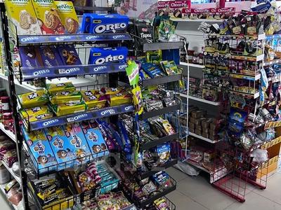 Еркін, дүкендер мен бутиктер, ауыл шаруашылығы · 90 м², бағасы: 43 млн ₸ в Астане, Алматы р-н