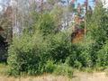 Часть дома · 3 комнаты · 60 м² · 7.4 сот., Калдаякова 4/1 — За церковью, возле Виндомгрден за 70 млн ₸ в Бурабае