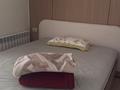 2-комнатная квартира · 52 м² · 1/3 этаж, Достык 272 за 450 000 ₸ в Алматы, Медеуский р-н — фото 2