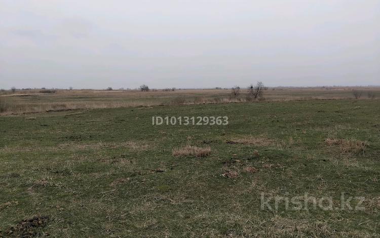 Жер телімі · 150 га, Қазақстан, бағасы: 100 млн ₸ в Казахстане — фото 2