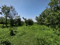 Участок · 5 га, КВ 44 за 225 млн ₸ в Талгаре — фото 10