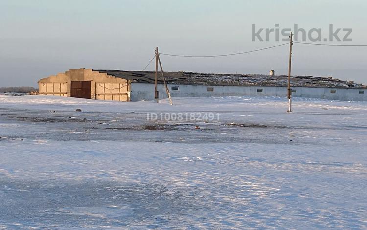Өнеркәсіптік база · 1 га, Село Кенес Кабанбай батыра 24 — Каракудукский сельский округ село Кенес, бағасы: 40 млн ₸ в Павлодарской области — фото 2