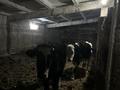 Өнеркәсіптік база · 1 га, Село Кенес Кабанбай батыра 24 — Каракудукский сельский округ село Кенес, бағасы: 40 млн ₸ в Павлодарской области — фото 9