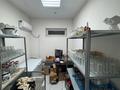 Продаётся готовый ресторан 392 м² в Аксай — отдельно стоящее здание · 392 м² за 80 млн ₸ — фото 6