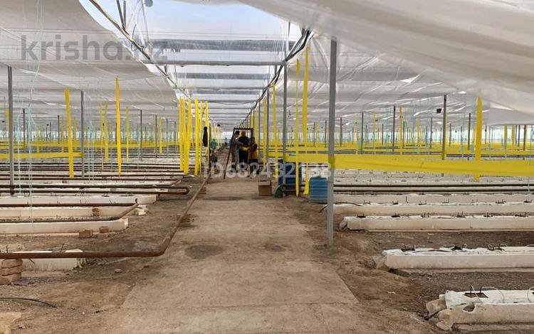 Свободное назначение · 11000 м² за 250 млн 〒 в Чундже — фото 9