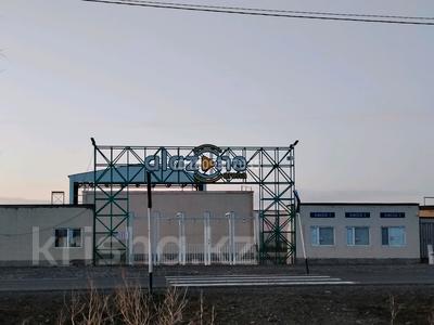 Жер телімі · 200 сотық, Үржар, бағасы: 130 млн ₸ в Урджаре