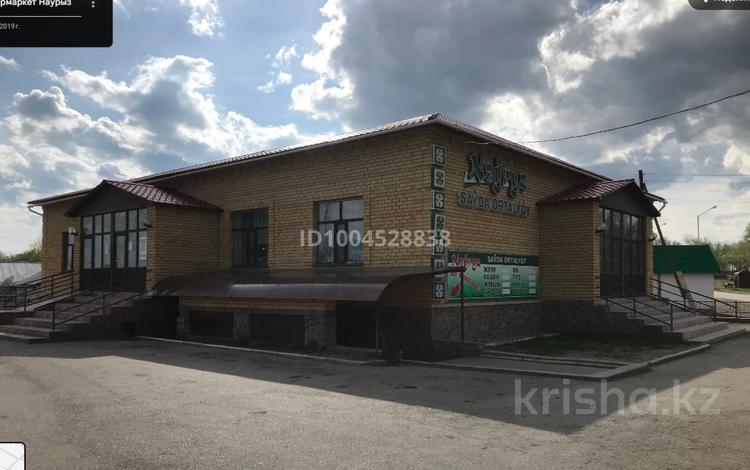 Дүкендер мен бутиктер, қоймалар, қоғамдық тамақтану орны · 800 м², бағасы: 180 млн ₸ в  — фото 2