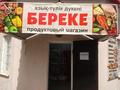 Свободное назначение, магазины и бутики, склады, медцентры и аптеки · 120 м² за 250 000 ₸ в Алматы, Бостандыкский р-н — фото 4