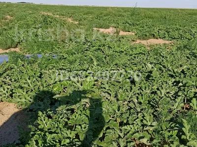 Участок · 2300 га, Жамбыл аүдан за 190 млн ₸ в Жамбыл (Жамбылский район)