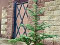 Жеке үй · 3 бөлме · 75 м² · 12 сот., Гагарина 18, бағасы: 200 000 ₸ в Алатау — фото 11