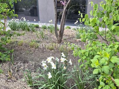 3-бөлмелі пәтер · 100 м² · 5/14 қабат, Кожабекова — Мега-Алмата, бағасы: 128 млн ₸ в Алматы, Бостандыкский р-н