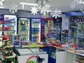 Продуктовый магазин. · 75 м², бағасы: 30 млн ₸ в Рудном — фото 2