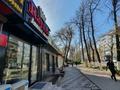 Сатылады. · 60 м², бағасы: 53 млн ₸ в Шымкенте, Аль-Фарабийский р-н — фото 10