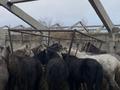 Өнеркәсіптік база · 3000 сотық, Промзона 2, бағасы: 45 млн ₸ в Лисаковске — фото 22
