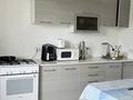Отдельный дом · 3 комнаты · 115 м² · 6 сот., 6 квартал, улица Ырысты — Село Коксай, около Мечети улицы Арайлы за 49.5 млн ₸ в Иргели — фото 16