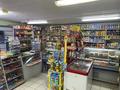 Жеке үй · 3 бөлме · 100 м² · 8 жүзд., 6 солнечная 12, бағасы: 80 млн ₸ в Костанае — фото 5