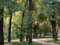 3-комнатная квартира · 70 м² · 6/10 этаж, Сейфуллина 51 — Шолохова за 46 млн ₸ в Алматы, Турксибский р-н — фото 20