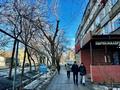 Свободное назначение, магазины и бутики, общепит · 615.5 м² за 430 млн ₸ в Алматы — фото 14