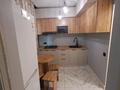 2-комнатная квартира · 40 м² · 1/3 этаж, Суюнбая 263/21 — Базар Турксибский за 250 000 ₸ в Алматы, Турксибский р-н — фото 4
