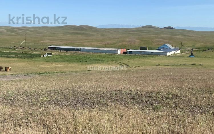 Сельское хозяйство · 2500 м² за 140 млн ₸ в Узынагаш — фото 26