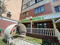 Свободное назначение • 340 м² за 2.8 млн 〒 в Алматы, Бостандыкский р-н — фото 3