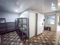 Свободное назначение, склады, общепит · 165 м² за 1.2 млн ₸ в Алматы, Медеуский р-н
