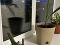 1-бөлмелі пәтер · 50 м² · 2/5 қабат, мкр. Алтын орда, Батыс 2 22 — Проспект Туельсыздык, бағасы: 23 млн ₸ в Актобе — фото 9