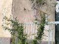 Отдельный дом · 3 комнаты · 80 м², мкр Бозарык — Ак билек 96 за 16 млн ₸ в Шымкенте, Абайский р-н — фото 22