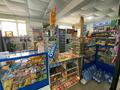 Магазины и бутики • 150 м² за 70 млн 〒 в Балхаше — фото 3