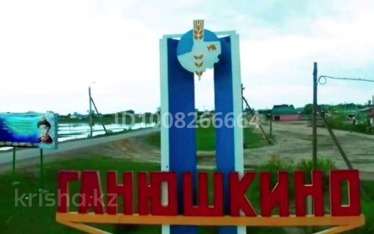 Отдельный дом · 4 комнаты · 60 м² · 1 сот., Испулаева 65 — Школа Ломоносова, налоговая, ЦОН за 5.5 млн ₸ в Курмангазы (Ганюшкино) — фото 3
