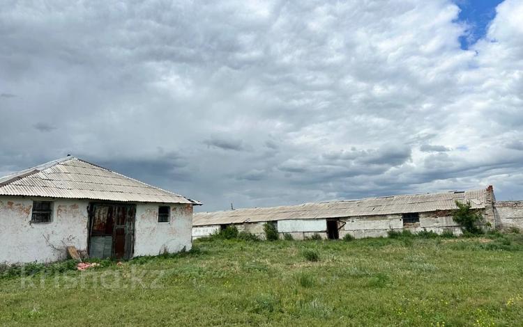 Жер телімі · 1.5 га, Ударник, бағасы: 100 млн ₸ в Дружбе — фото 2