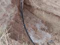 Жер телімі · 9 сотық, Қаскелең, бағасы: 7.5 млн ₸ в Каскелене — фото 4
