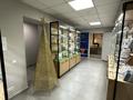 Офисы, магазины и бутики, салоны красоты • 60 м² за 2.9 млн 〒 в Павлодаре — фото 2