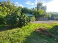 Свободное назначение · 200 м² за 700 000 ₸ в Астане, Сарыарка р-н — фото 30
