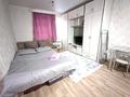 1-комнатная квартира · 24.7 м² · 1/5 этаж, мкр Пригородный, Кабанбай батыра 105 за 10 000 ₸ в Астане, Есильский р-н — фото 4