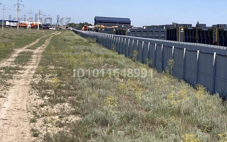 Участок · 3 га, Даулет — Возле склада Магнум за 170 млн ₸ в Алатау — фото 11