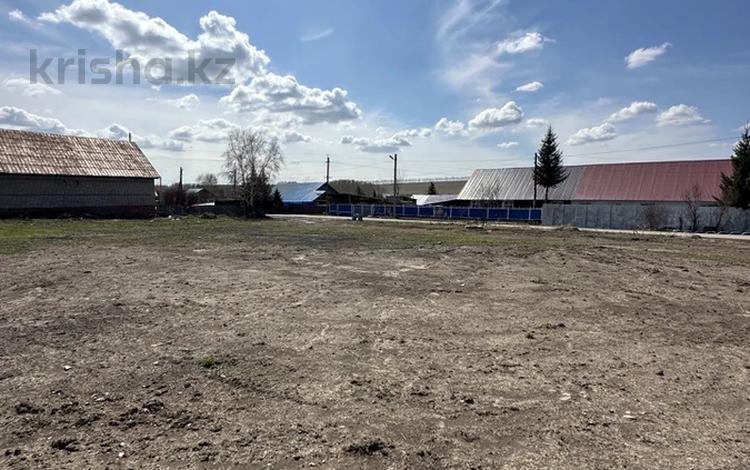 Участок · 24 сотки, Солнечное, ул. Ленина 24Б за 4.9 млн ₸ в Усть-Каменогорске — фото 2