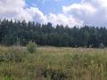 Участок · 20 соток, Щербаково, за 26 млн ₸ в Костанайской обл. — фото 12