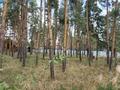 Участок · 20 соток, Щербаково, за 26 млн ₸ в Костанайской обл. — фото 13