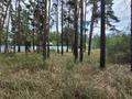 Участок · 20 соток, Щербаково, за 26 млн ₸ в Костанайской обл. — фото 14