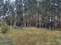 Участок · 20 соток, Щербаково, за 26 млн ₸ в Костанайской обл. — фото 23